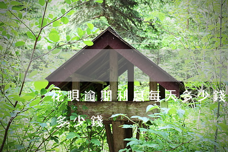 花唄逾期利息每天多少錢(花唄逾期利息每天多少錢)