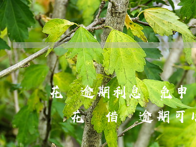 花唄逾期利息減免申請(qǐng)書(支付寶花唄借唄逾期可以申請(qǐng)減免利息嗎)