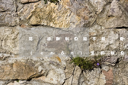 花唄逾期利息能不能減免(支付寶借唄逾期產(chǎn)生的利息可以減免嗎?)