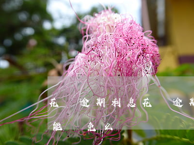 花唄 逾期利息(花唄逾期利息太高有什么辦法能減免么)