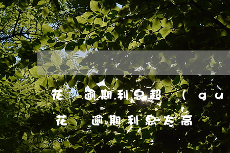 花唄逾期利息超過(guò)24嗎(支付寶花唄逾期利息太高)
