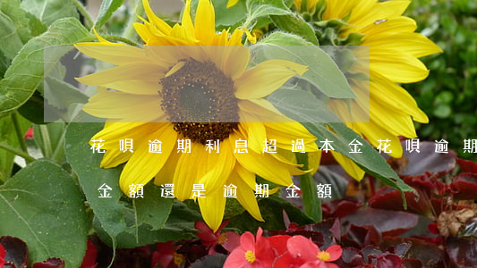花唄逾期利息超過本金(花唄逾期利息是按總金額還是逾期金額)