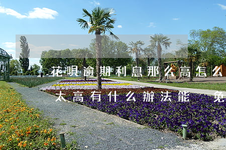 花唄逾期利息那么高怎么還-花唄逾期利息太高有什么辦法能減免么