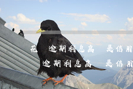 花唄逾期利息高還是信用卡逾期利息高-花唄逾期利息高還是信用卡逾期利息高呢