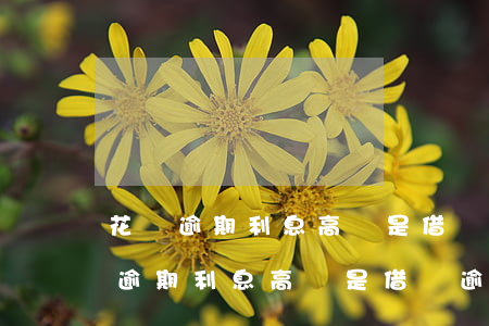 花唄逾期利息高還是借唄逾期利息高-花唄逾期利息高還是借唄逾期利息高呢