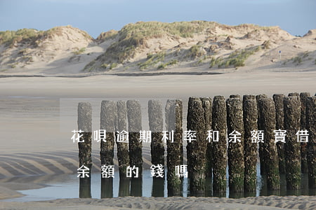 花唄逾期利率和余額寶(借唄逾期支付寶會扣余額的錢嗎)