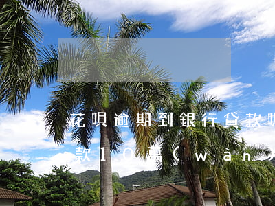花唄逾期到銀行貸款嗎(花唄逾期了去銀行貸款10萬(wàn) 會(huì)受到影響嗎)