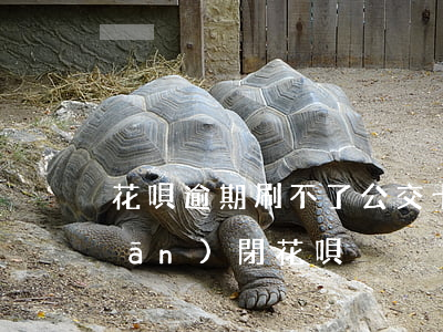 花唄逾期刷不了公交卡(公交卡如何關(guān)閉花唄)