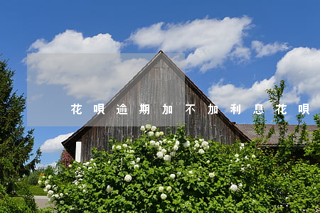 花唄逾期加不加利息(花唄逾期加不加利息了)