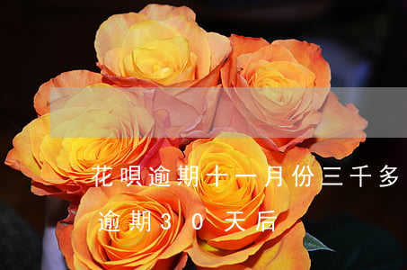 花唄逾期十一月份三千多的圖片-螞蟻花唄逾期30天后