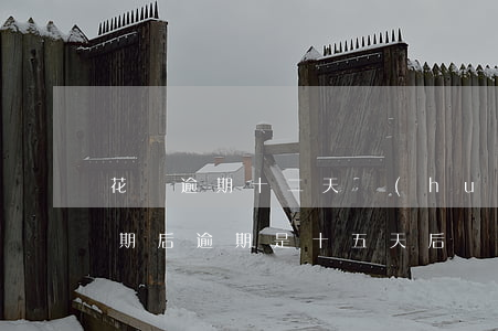 花唄逾期十二天會(huì)怎么樣(花唄分期后逾期是十五天后會(huì)怎么樣?)