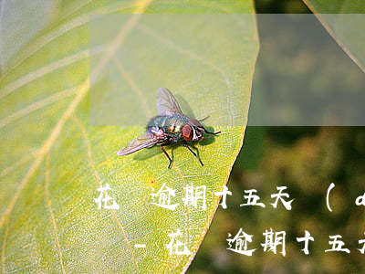 花唄逾期十五天對(duì)芝麻信用影響嗎-花唄逾期十五天對(duì)芝麻信用影響嗎