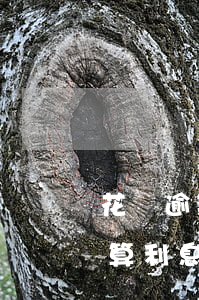 花唄逾期十元怎么算利息(花唄逾期十元怎么算利息)