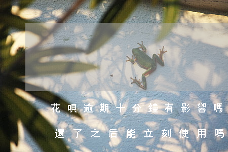 花唄逾期十分鐘有影響嗎(花唄逾期十幾分鐘還了之后,能立刻使用嗎)