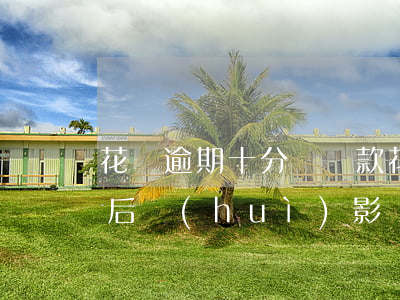 花唄逾期十分鐘還款(花唄逾期10天還了之后會(huì)影響信用嗎)