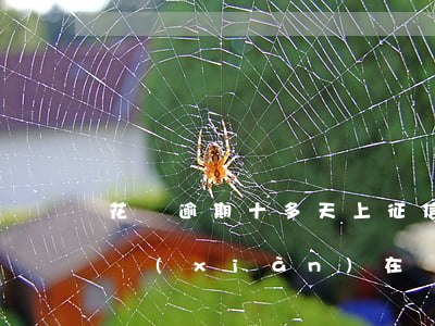 花唄逾期十多天上征信嗎(花唄逾期了10天,現(xiàn)在還了,會影響征信嗎)