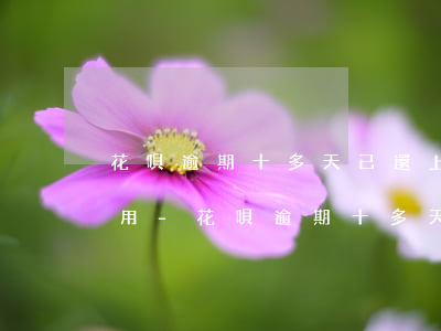 花唄逾期十多天已還上啥時(shí)候能用-花唄逾期十多天已還上啥時(shí)候能用啊