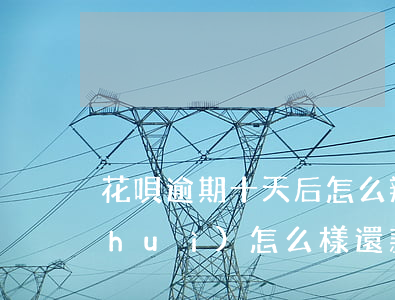 花唄逾期十天后怎么辦(花唄逾期10天會(huì)怎么樣還款后還能使用嗎)
