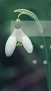 花唄逾期十天后還上可以在銀行貸款嗎-花唄逾期十天后還上可以在銀行貸款嗎