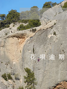 花唄逾期十天會(huì)上征信嗎
