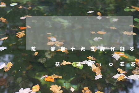花唄逾期十天芝麻分能不能恢復(fù)-螞蟻花唄逾期10天,芝麻信用會(huì)降多少