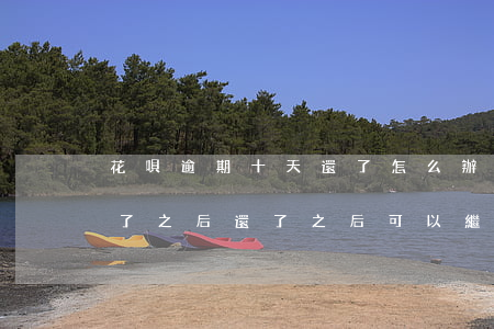 花唄逾期十天還了怎么辦(花唄逾期10天還了之后還了之后可以繼續(xù)使用嗎)
