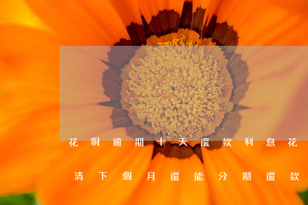 花唄逾期十天還款利息(花唄逾期10天后還清,下個月還能分期還款嗎)