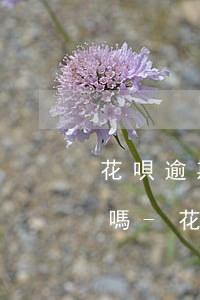 花唄逾期十幾天會(huì)打電話給家人嗎-花唄逾期十幾天會(huì)打電話給家人嗎是真的嗎
