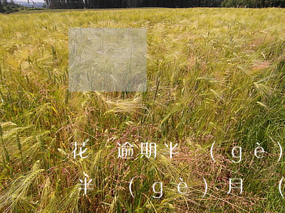 花唄逾期半個(gè)月上征信嗎(花唄逾期半個(gè)月會(huì)上征信對今后有什么影響)