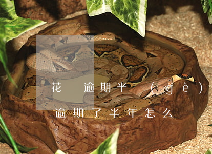 花唄逾期半個(gè)月后果6(支付寶花唄逾期了半年怎么辦)