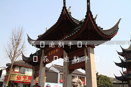 花唄逾期半個(gè)月還可以嘛(支付寶螞蟻花唄逾期半個(gè)月還清了還能用嗎)