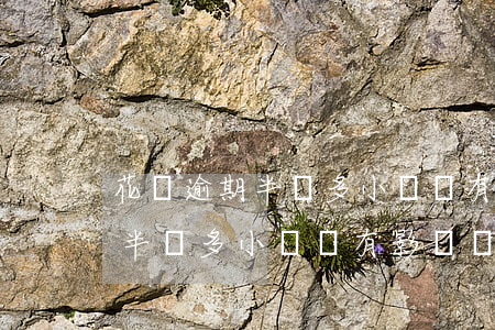 花唄逾期半個多小時會有影響嗎-花唄逾期半個多小時會有影響嗎知乎