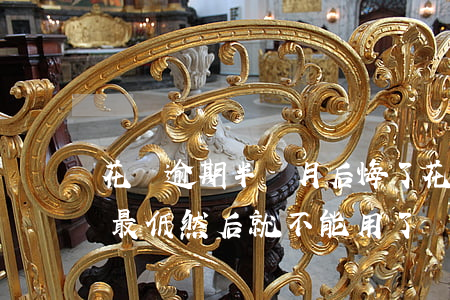 花唄逾期半個月后悔了(花唄逾期兩天后還了最低然后就不能用了)