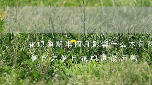花唄逾期半個月影響什么(本月花唄逾期到下個月這個月花唄還能用嗎)