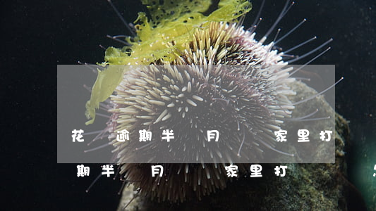 花唄逾期半個月會給家里打電話嗎-花唄逾期半個月會給家里打電話嗎怎么辦