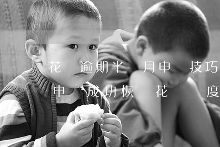 花唄逾期半個月申訴技巧(花唄負面記錄逾期申訴成功恢復花唄額度)