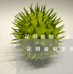 花唄逾期半個月還款后多久才能使用花唄-花唄逾期半個月還款后多久才能使用花唄付款