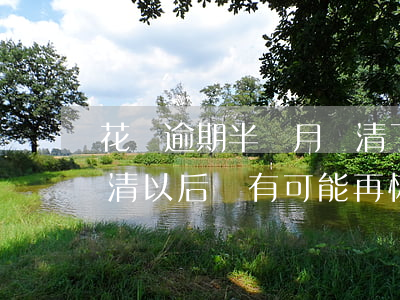 花唄逾期半個月還清了(花唄逾期了半年才還清,以后還有可能再恢復(fù)嗎?)