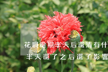 花唄逾期半天后還清有什么影響-花唄逾期半天還了之后還了影響征信嗎