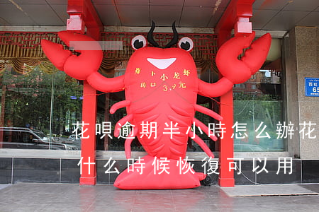 花唄逾期半小時怎么辦(花唄逾期不到1個月什么時候恢復可以用)