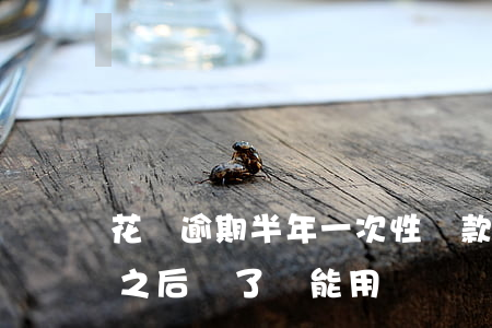 花唄逾期半年一次性還款(花唄逾期1天還了之后還了還能用嗎)
