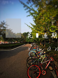 花唄逾期半年上征信嗎(花唄逾期了半年,現(xiàn)在還了,會(huì)影響征信嗎)