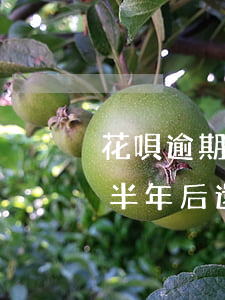 花唄逾期半年之后要一次還完嗎-花唄逾期半年后還清了多久能恢復(fù)使用資格