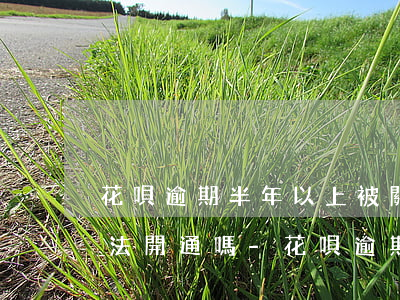 花唄逾期半年以上被關(guān)閉有辦法開通嗎-花唄逾期半年以上被關(guān)閉有辦法開通嗎