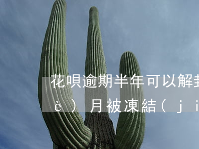 花唄逾期半年可以解封嗎(花唄逾期半個(gè)月被凍結(jié) 什么時(shí)候才能開通)