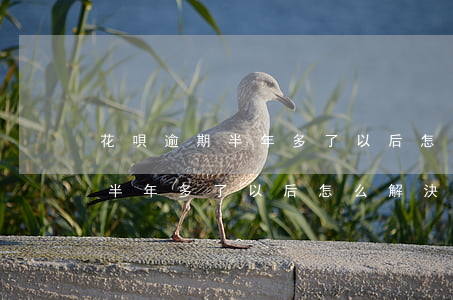 花唄逾期半年多了以后怎么解決-花唄逾期半年多了以后怎么解決呢