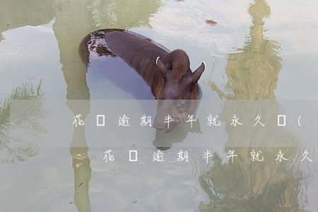 花唄逾期半年就永久無(wú)法使用了嗎-花唄逾期半年就永久無(wú)法使用了嗎怎么辦