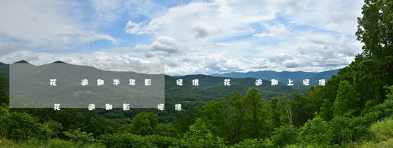 花唄逾期半年影響征信嗎(花唄逾期上征信嗎?花唄逾期影響征信嗎)