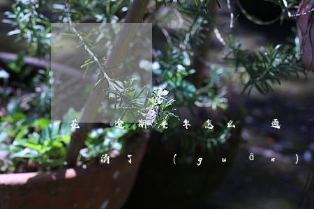 花唄逾期半年怎么開通嗎(花唄逾期過3個月,還清了關(guān)閉了,要怎么樣才能在開通)