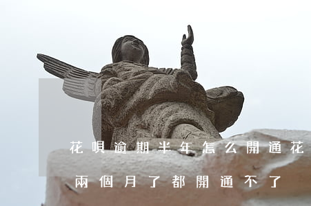 花唄逾期半年怎么開通(花唄逾期三個月了,都兩個月了,都開通不了)